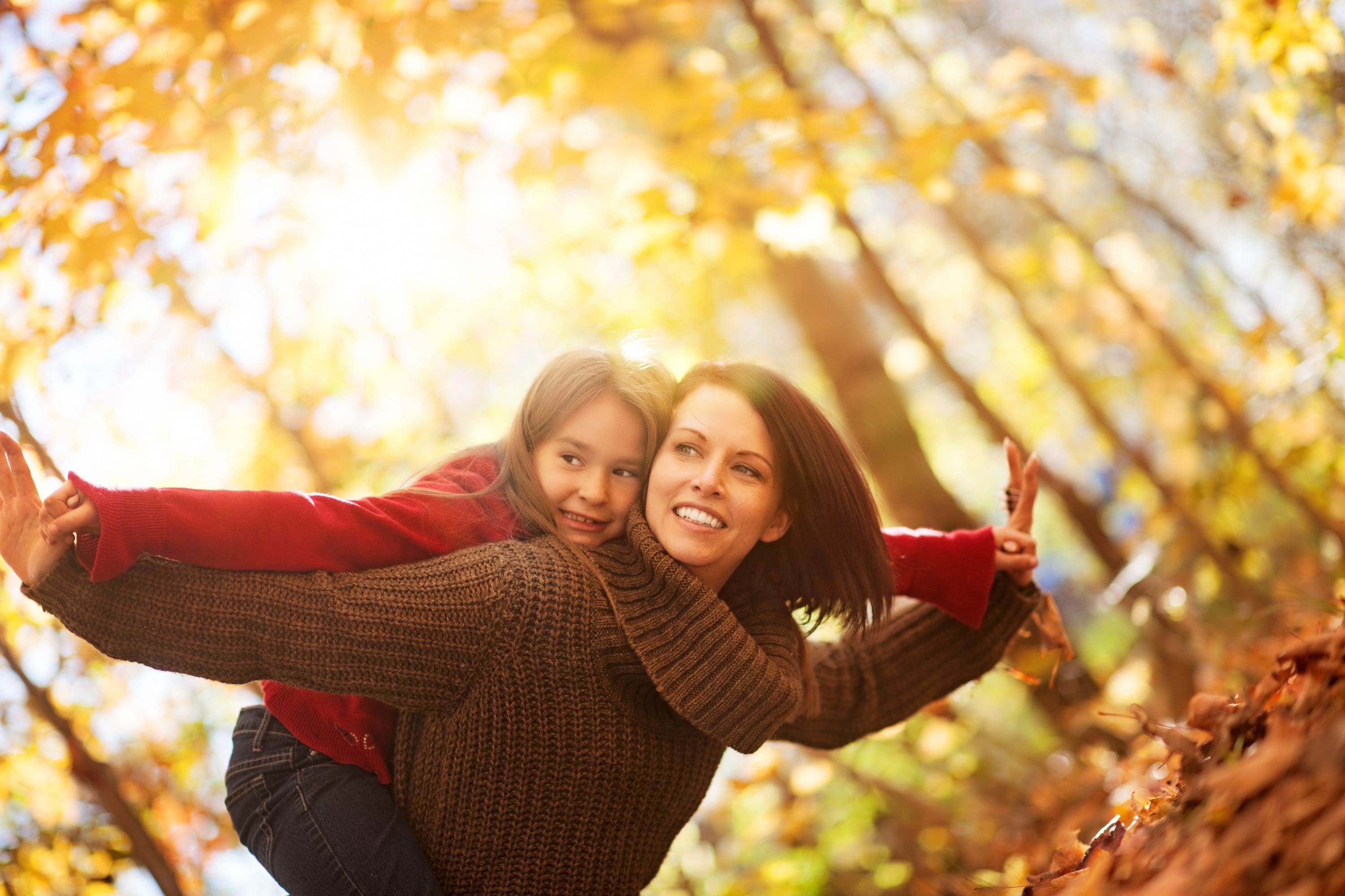 Family Experience